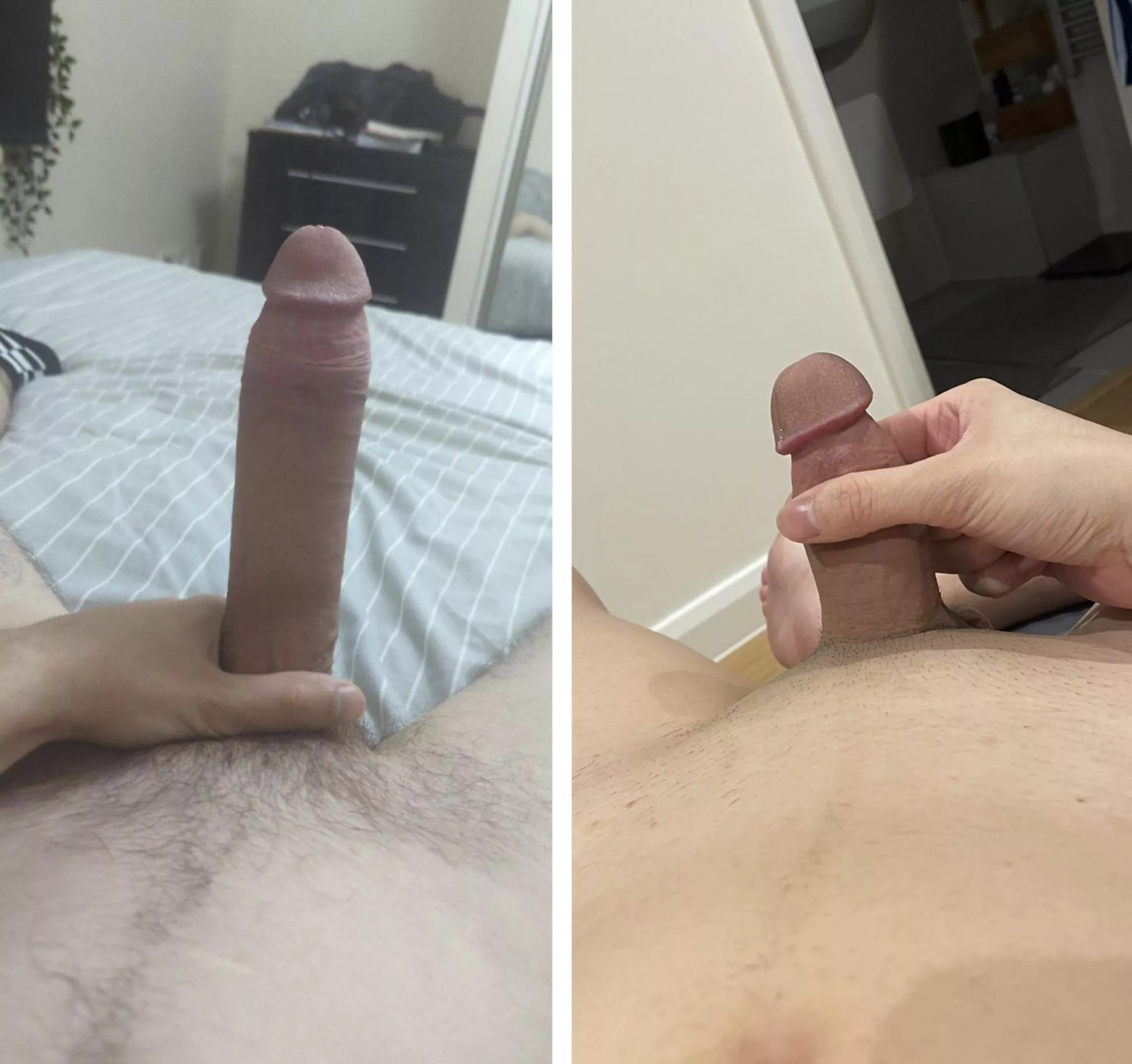 Bf vs bull… posted by skyeskyskye