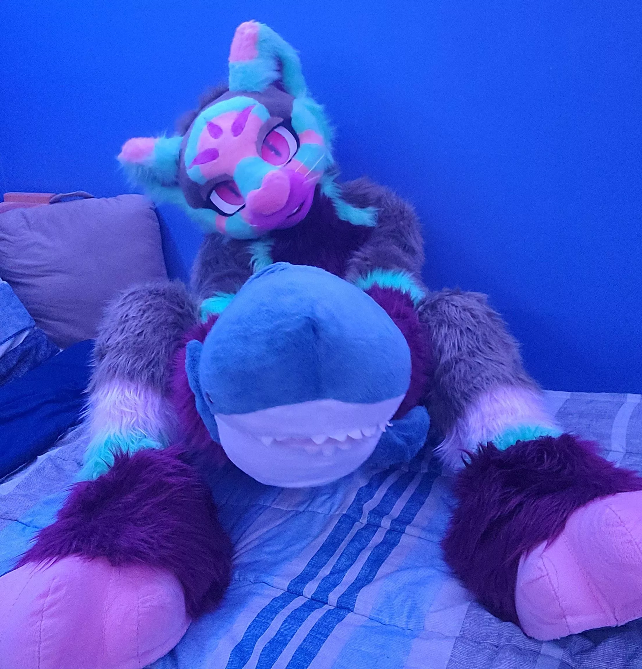 Can I offer a Blahaj in this trying time? posted by DumbDogMiles