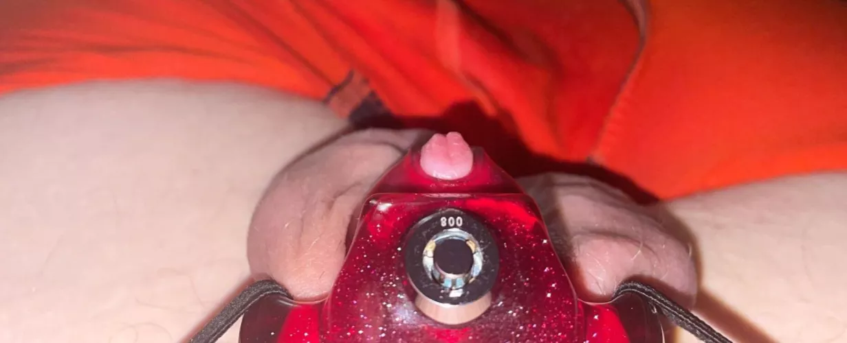 I’m a male and I actually have a clitty now by Educational_Duck8985