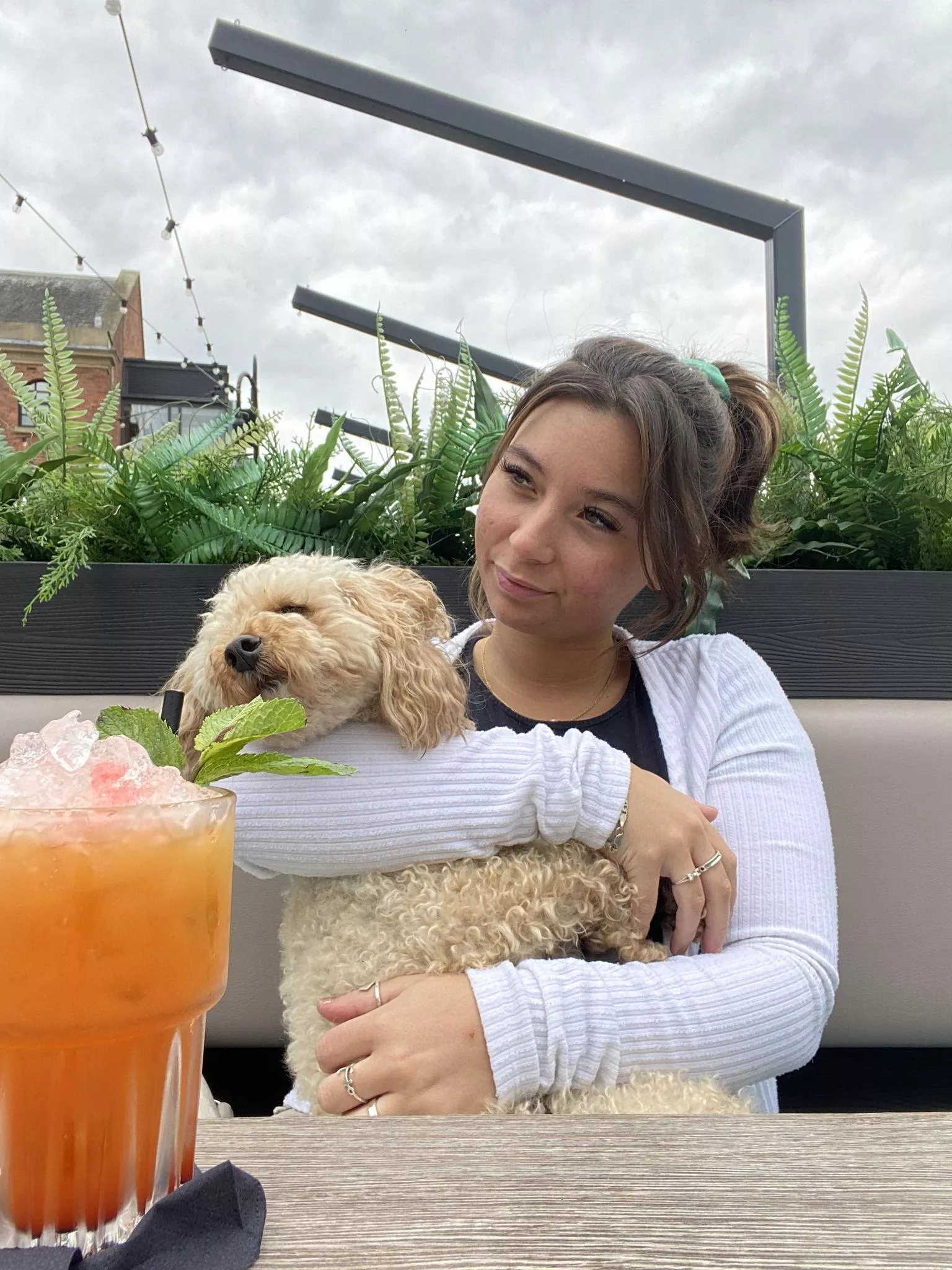 me, myself and my dog posted by JesseHolmes2