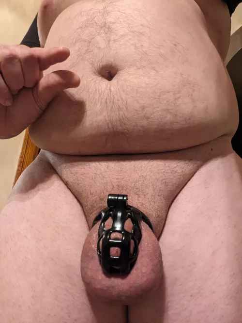 My new cage came today and I am in total bliss. Happy Locktober, cucks. by Ass-Sabbath