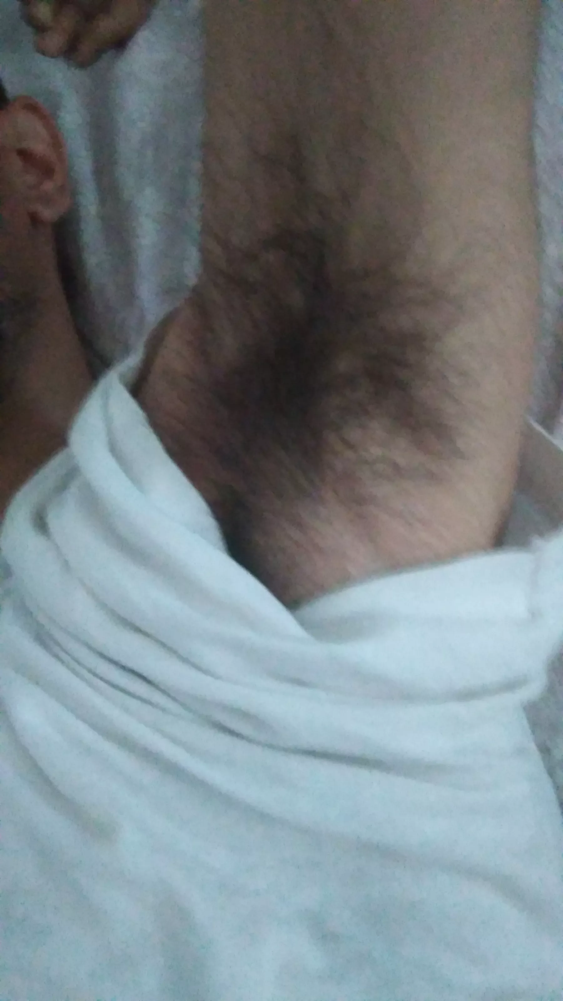 Real bros sniff each other's pits posted by Lucky-Aerie4