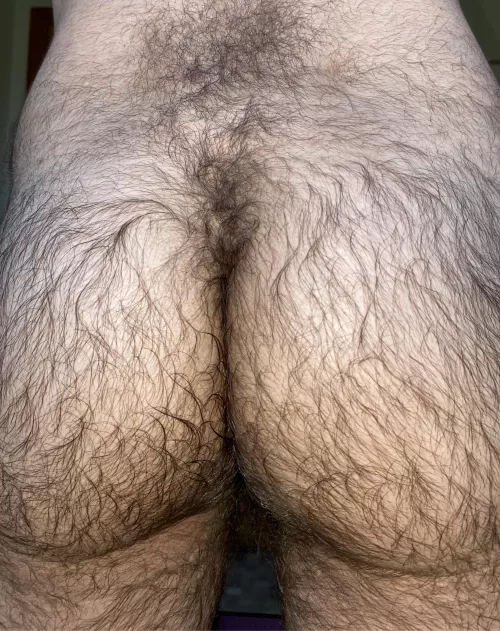 Since y’all loved my hairy ass so much. Here’s some more. What else would you like to see? 😋 by Howl_at_the_moon_