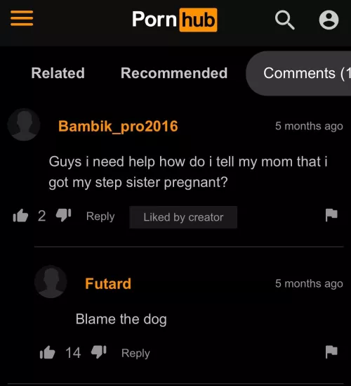 The dog, always the dog by No-Material-6166