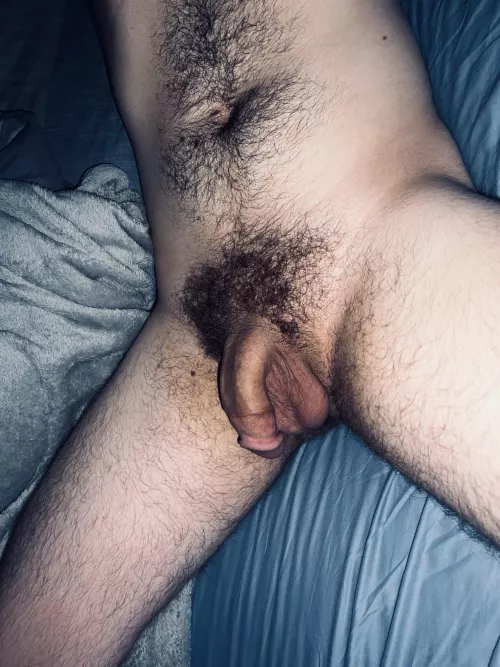 Where’s the bush lovers? by Overall_Quiet5527