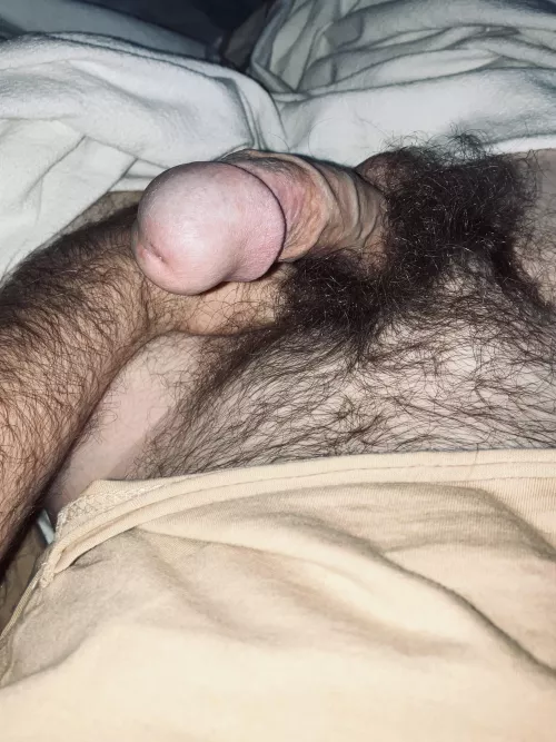 Who’s into hairy with fat 🍆? by MdeBurquage