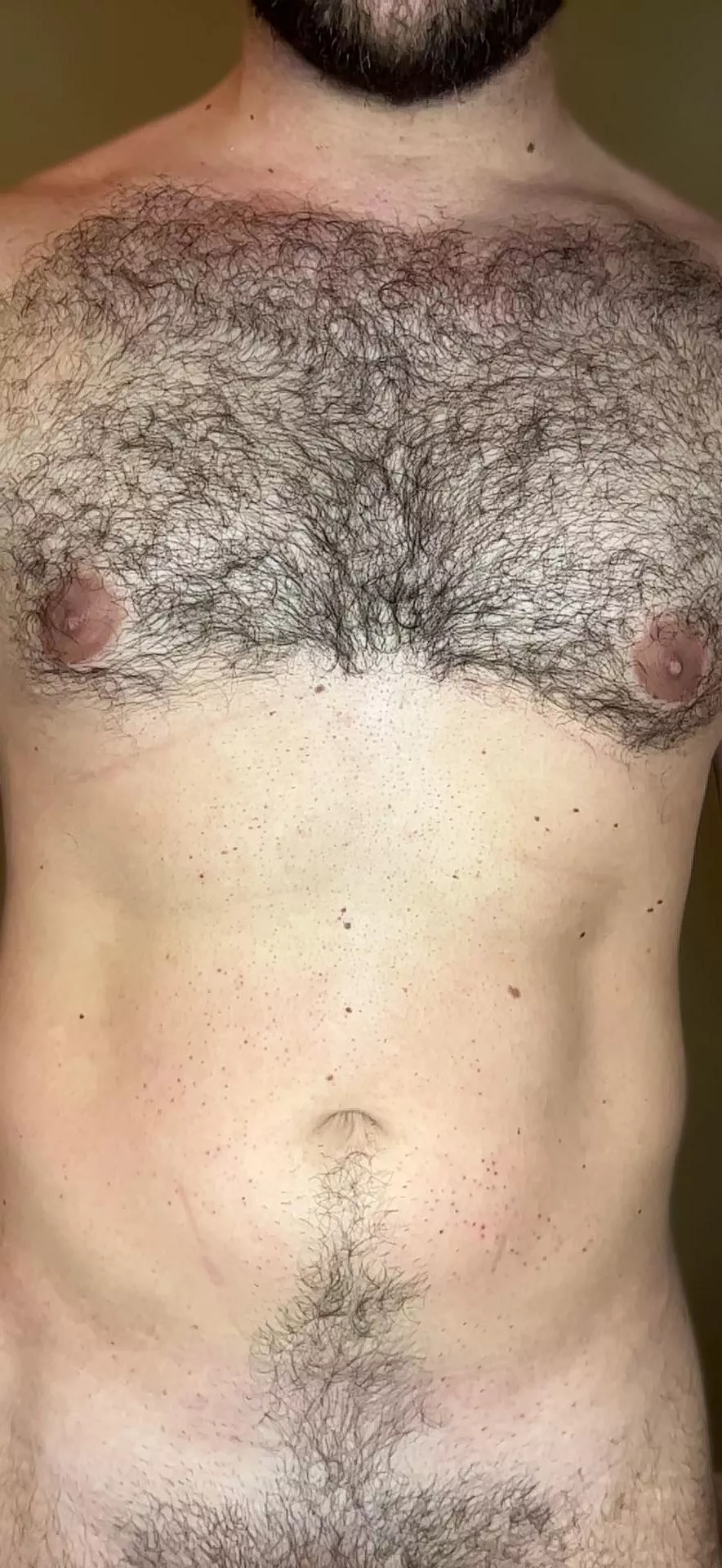 Yes or No??? posted by Cecillad