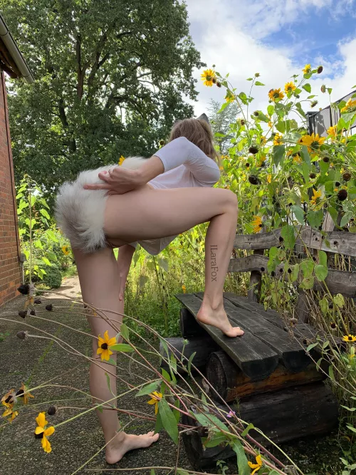 And out I go! by ILaraFox