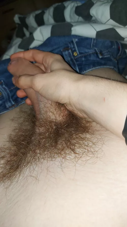 Hallo again by Any-Ship9065