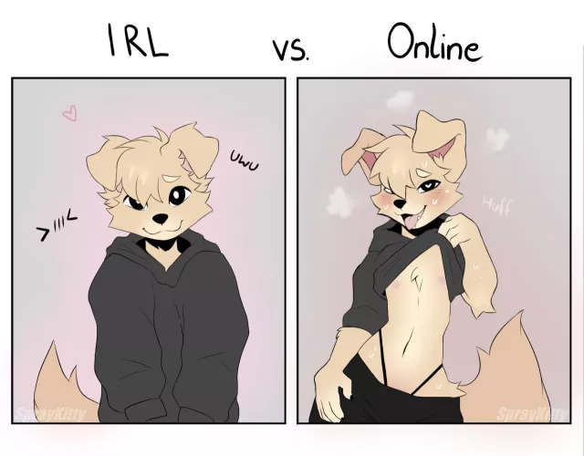IRL vs ONLINE (spraykitty) by sluttyfemboykitten