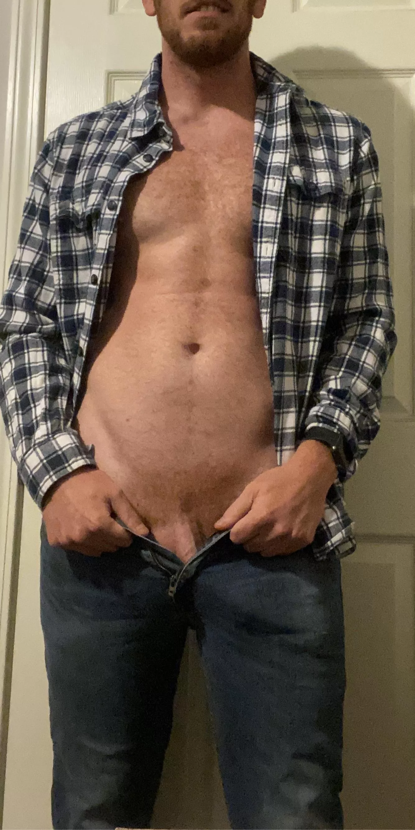 Let’s go to the pumpkin patch posted by Objective_Ninja_3661