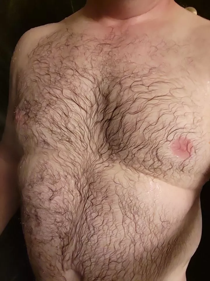 Let's see how this works posted by bizzle77