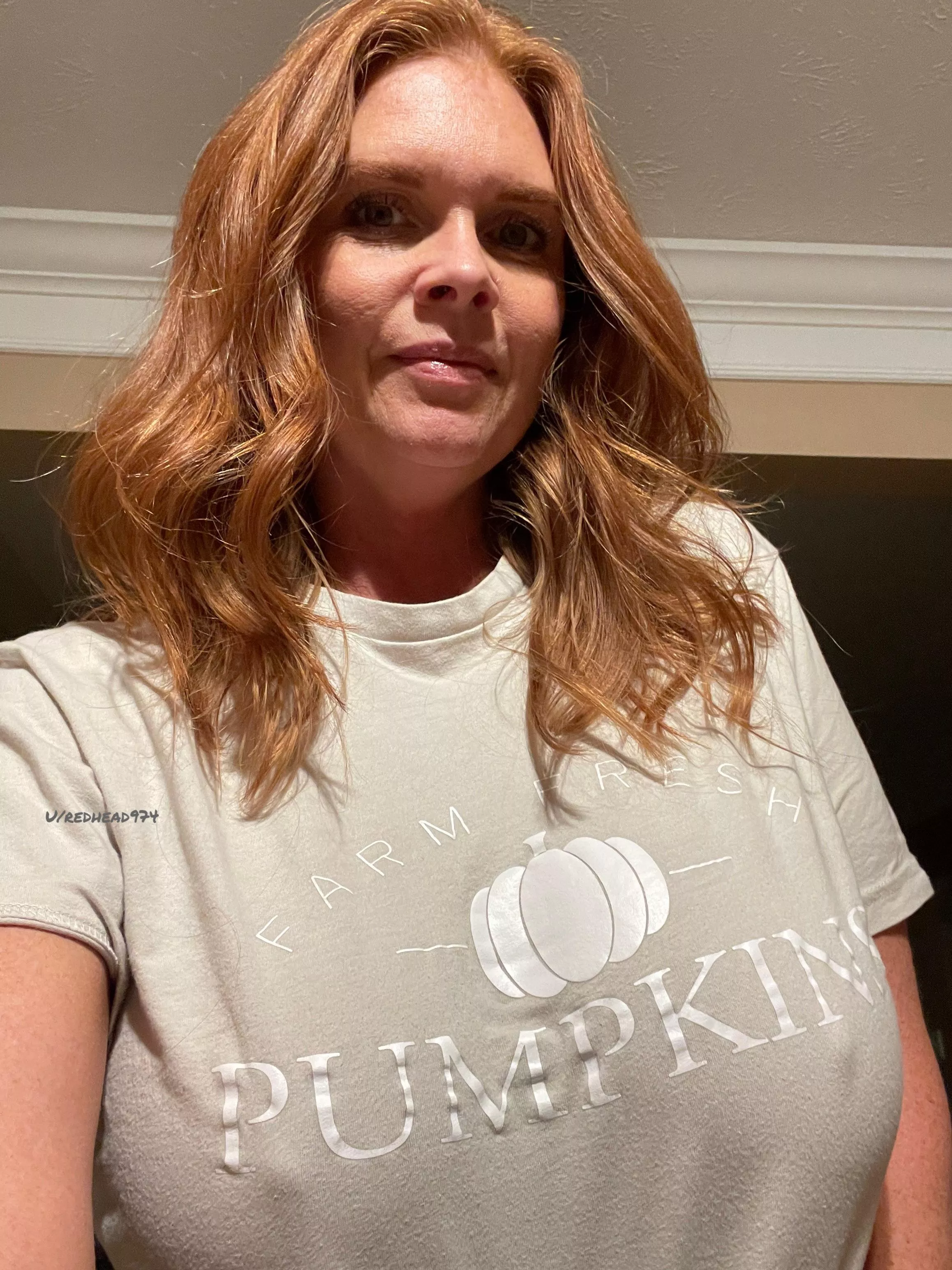 Like to pick out a pumpkin? posted by Redhead974