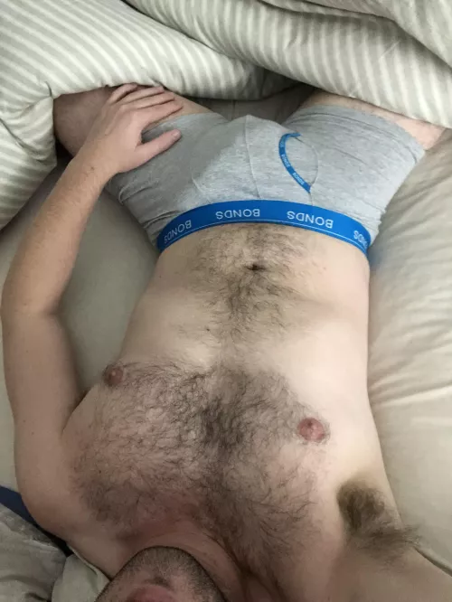 Relaxing and admiring bears by PordyPuddinPie