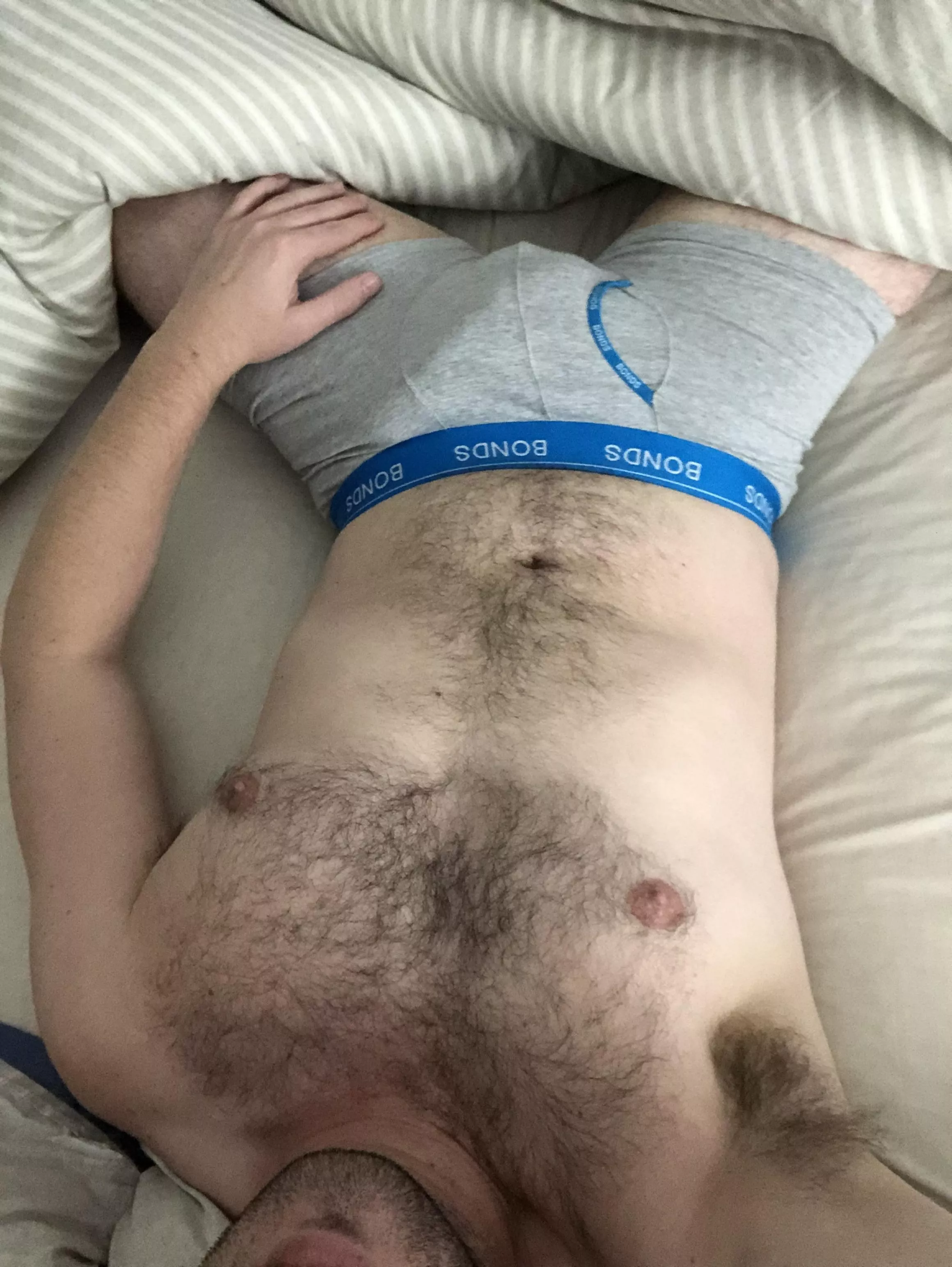 Relaxing and admiring bears posted by PordyPuddinPie