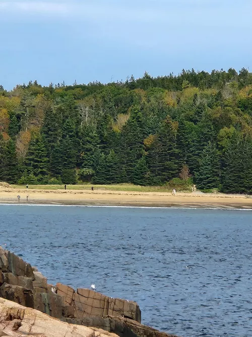 Sand Beach Maine by Intelligent-Cable-43
