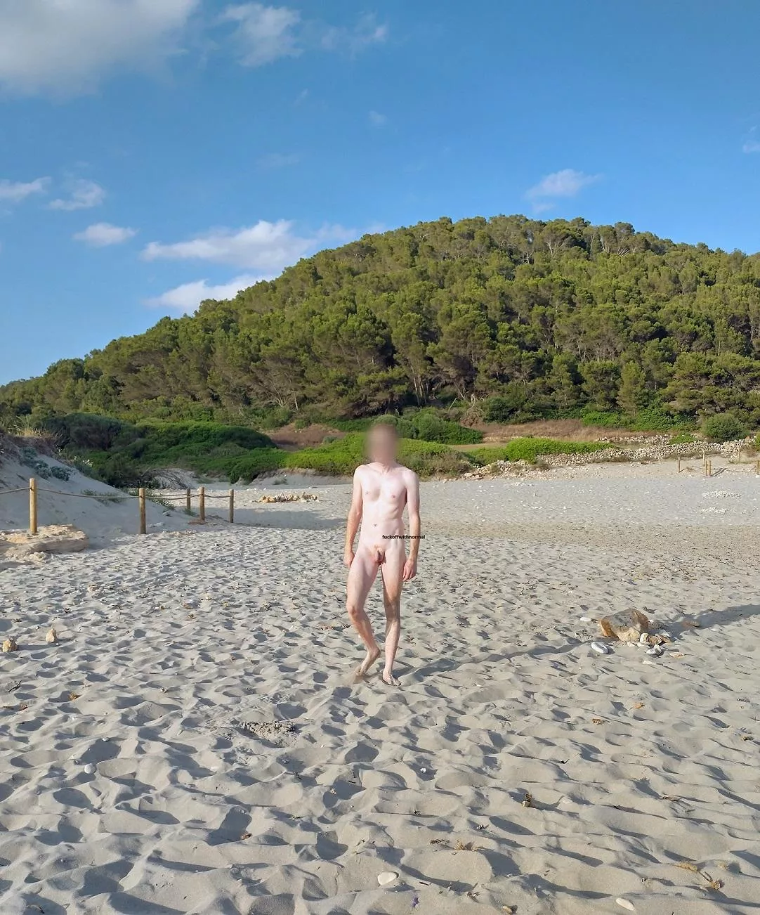 Sandy boy! posted by fuckoffwithnormal