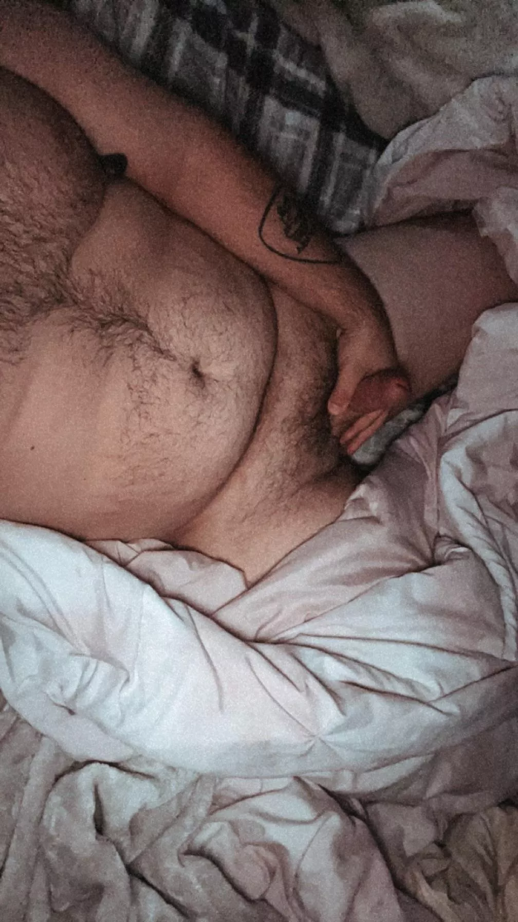 Snuggle Time? posted by hornlogs