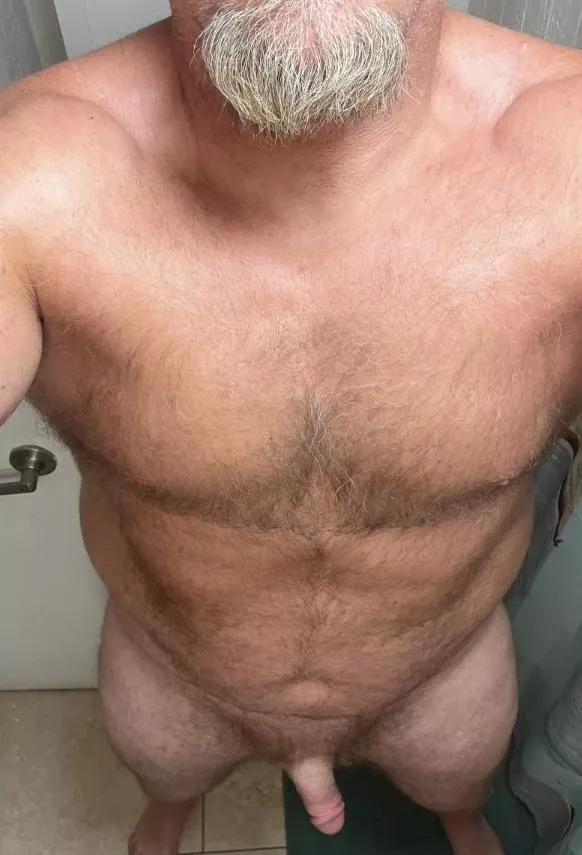 Sun bear posted by tripphamer