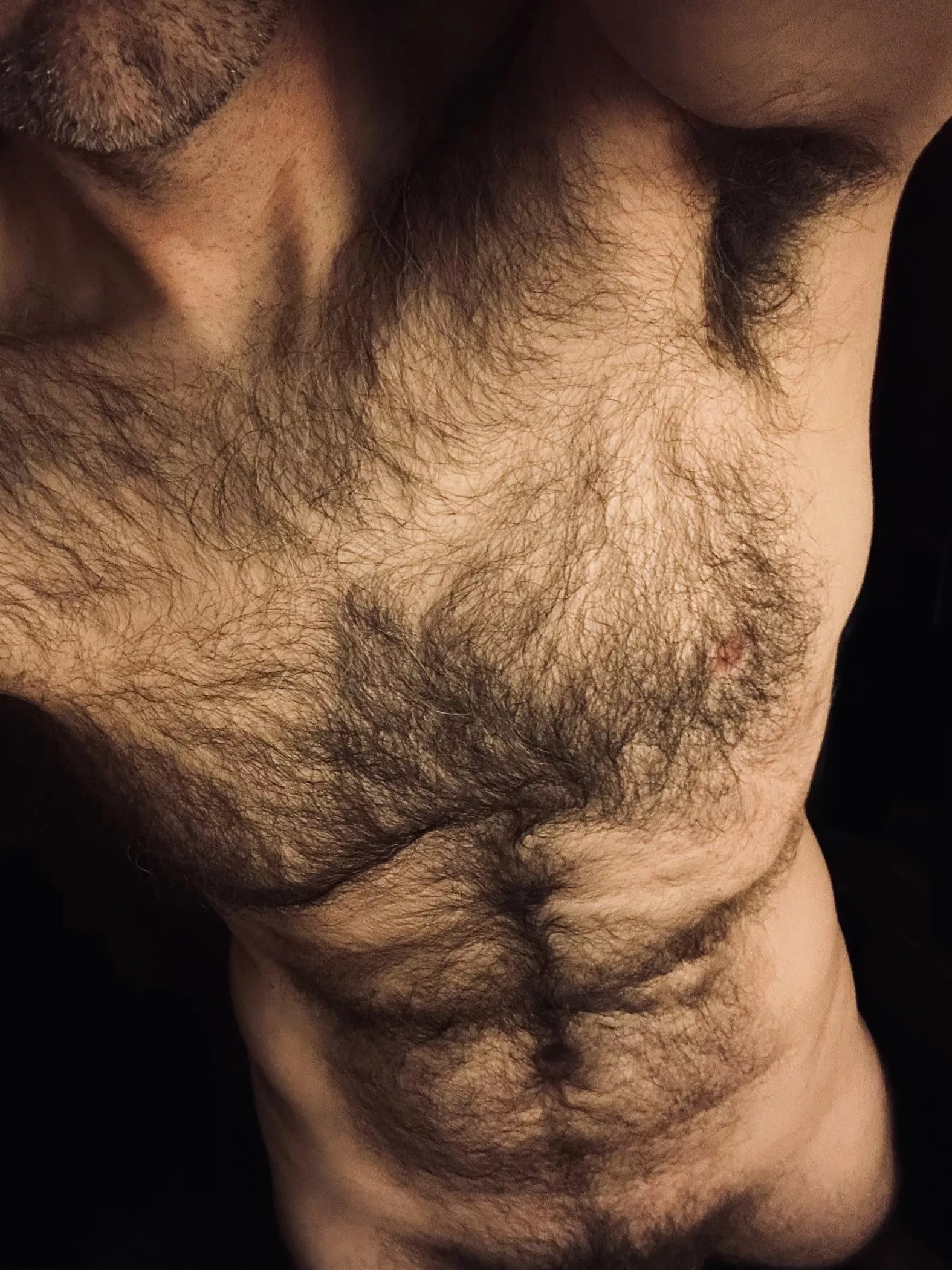 Werewolfing hard today... posted by jerseyjaxoff