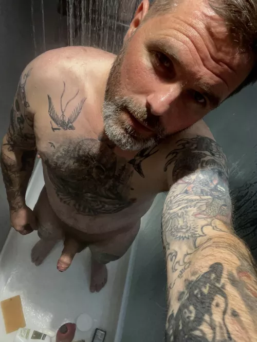 You like a silver beard by Effective-Voice5902