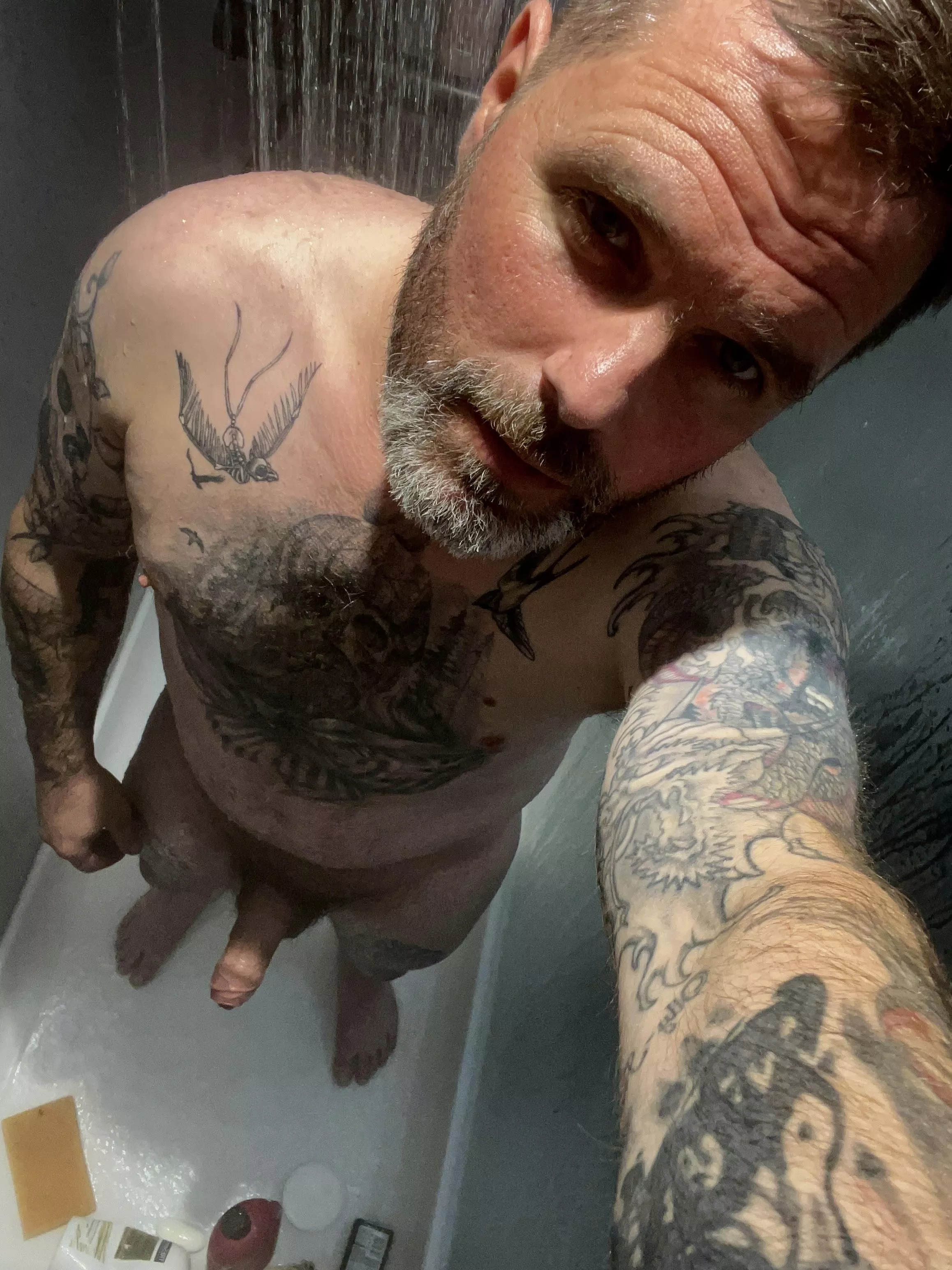 You like a silver beard posted by Effective-Voice5902