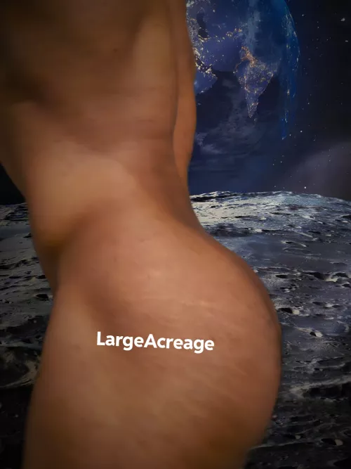 You like that? by LargeAcreage