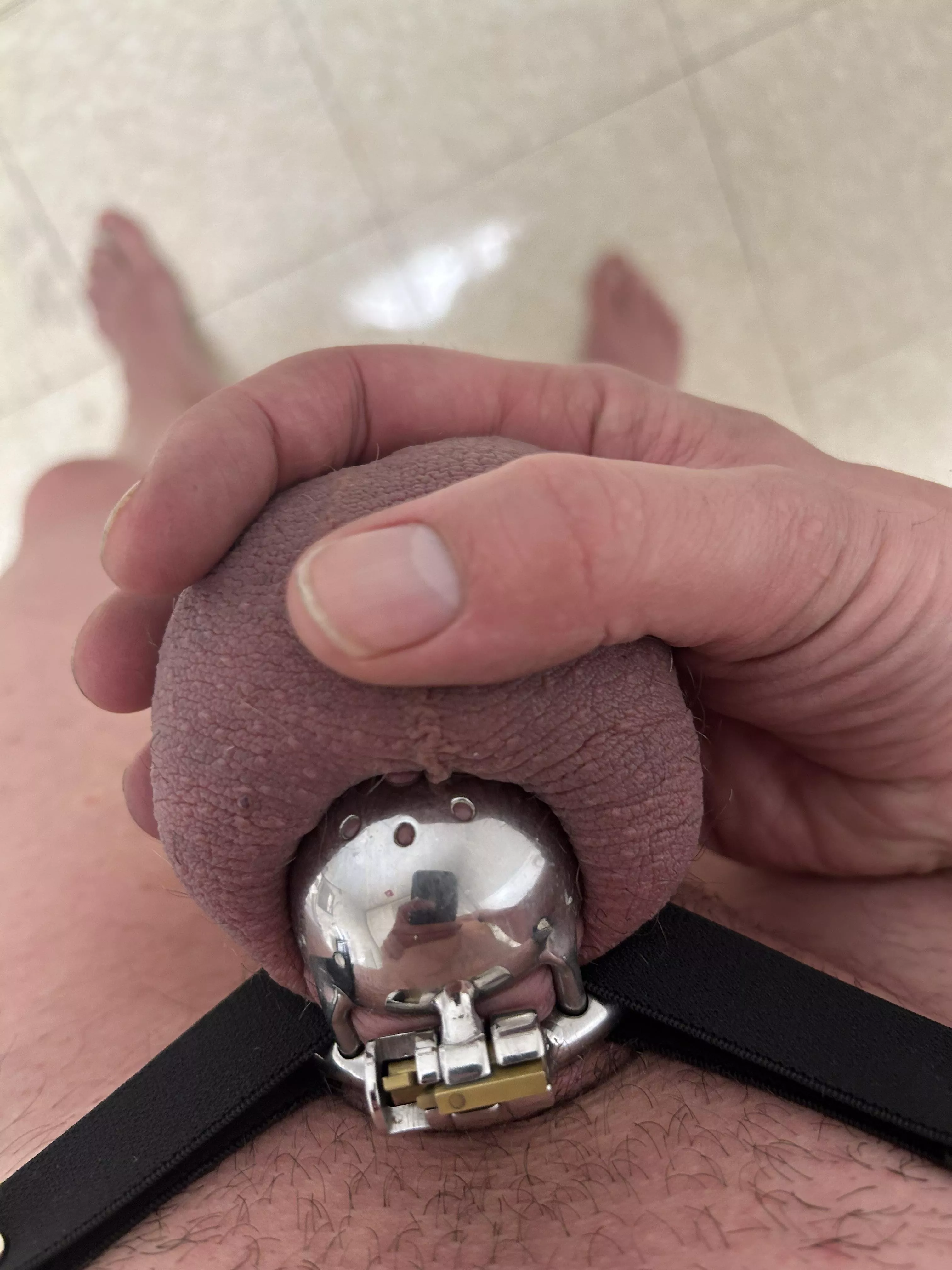 28 days locked now. Locktober started early. posted by DistributionHot5771