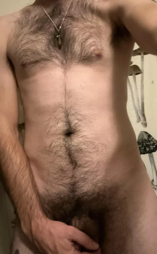 Chest hair + by mazir303