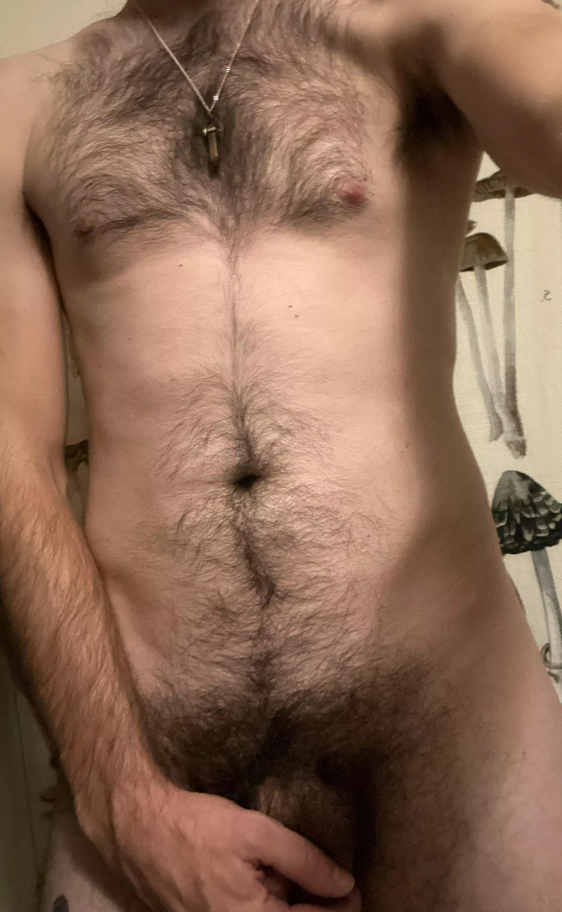 Chest hair + posted by mazir303