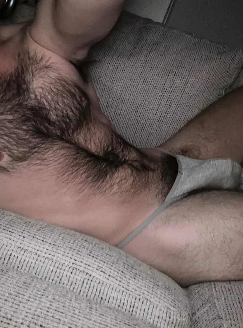 Cuddle Up posted by poptuck31