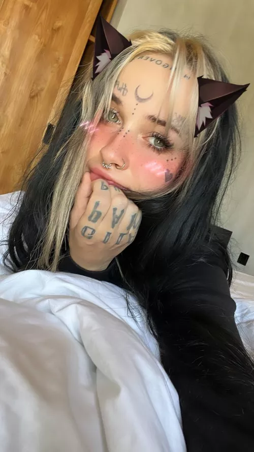 Cute kitty face by thespottyhumility