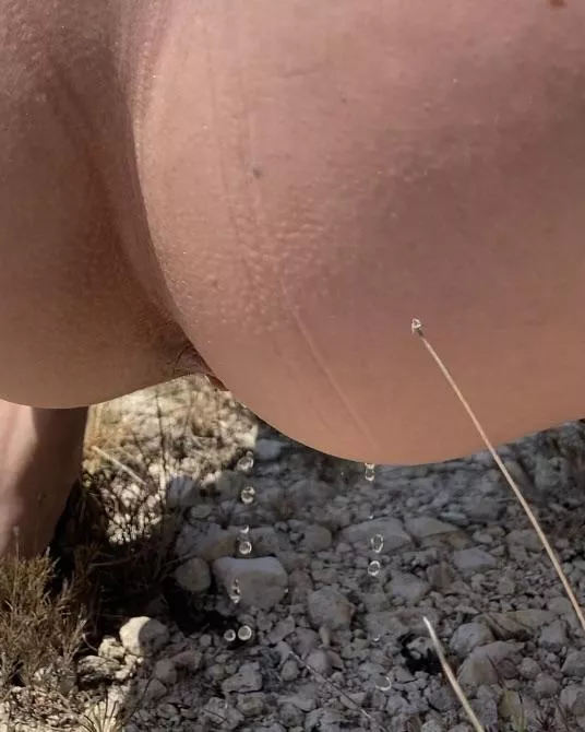 dribbles in the desert posted by saturnbiscuit