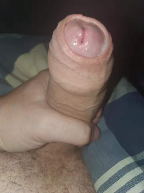 Early morning wake up call by ppoiu6