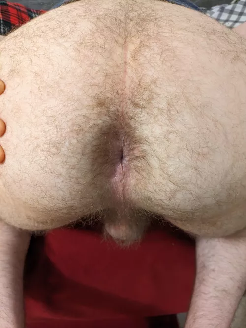 Got Pegged Last Night. Celebrating By Sharing My Ass by BasisCompetitive6710