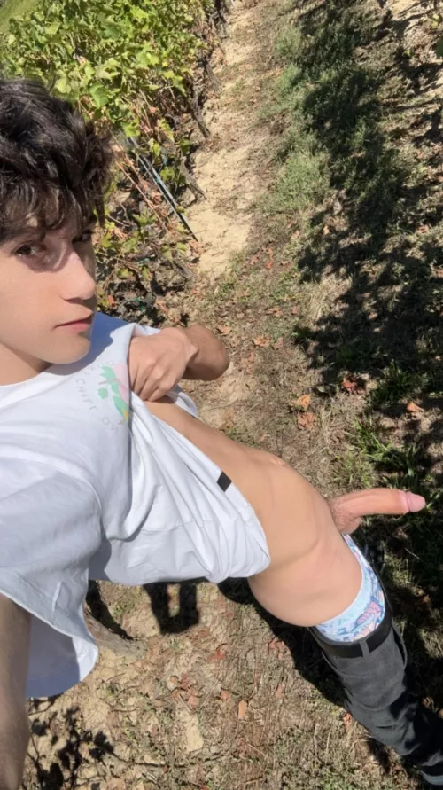 I think they saw my dick from afar by nolantwink