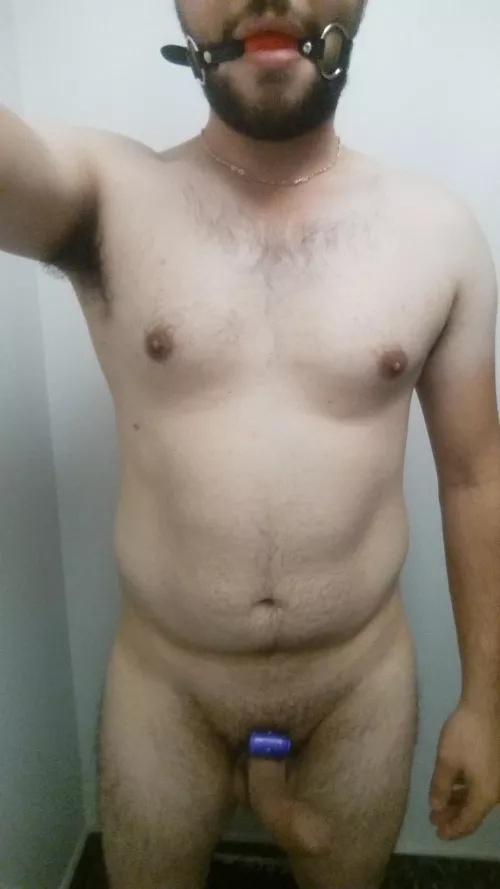 Loving my new gag keeping me quiet while my cockring buzzes by xaviermusthave