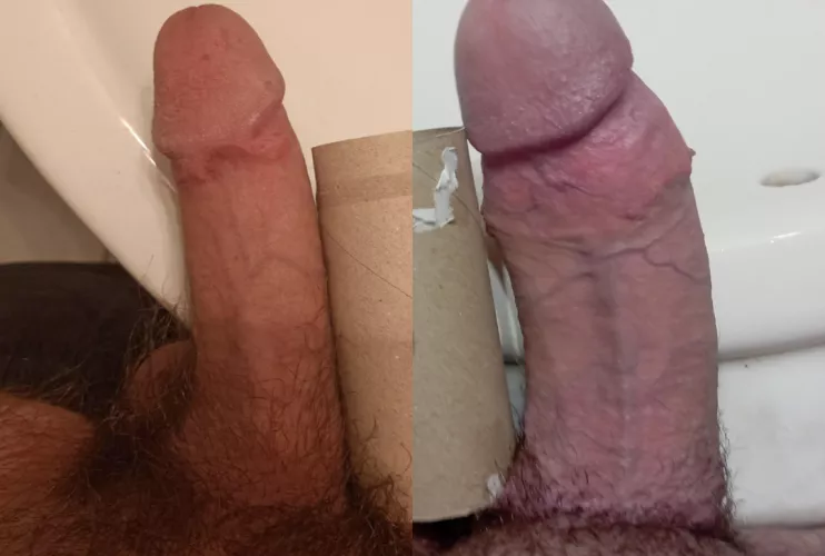 Made a tp roll comparison. What do you think? 😁 by InAQuestForD