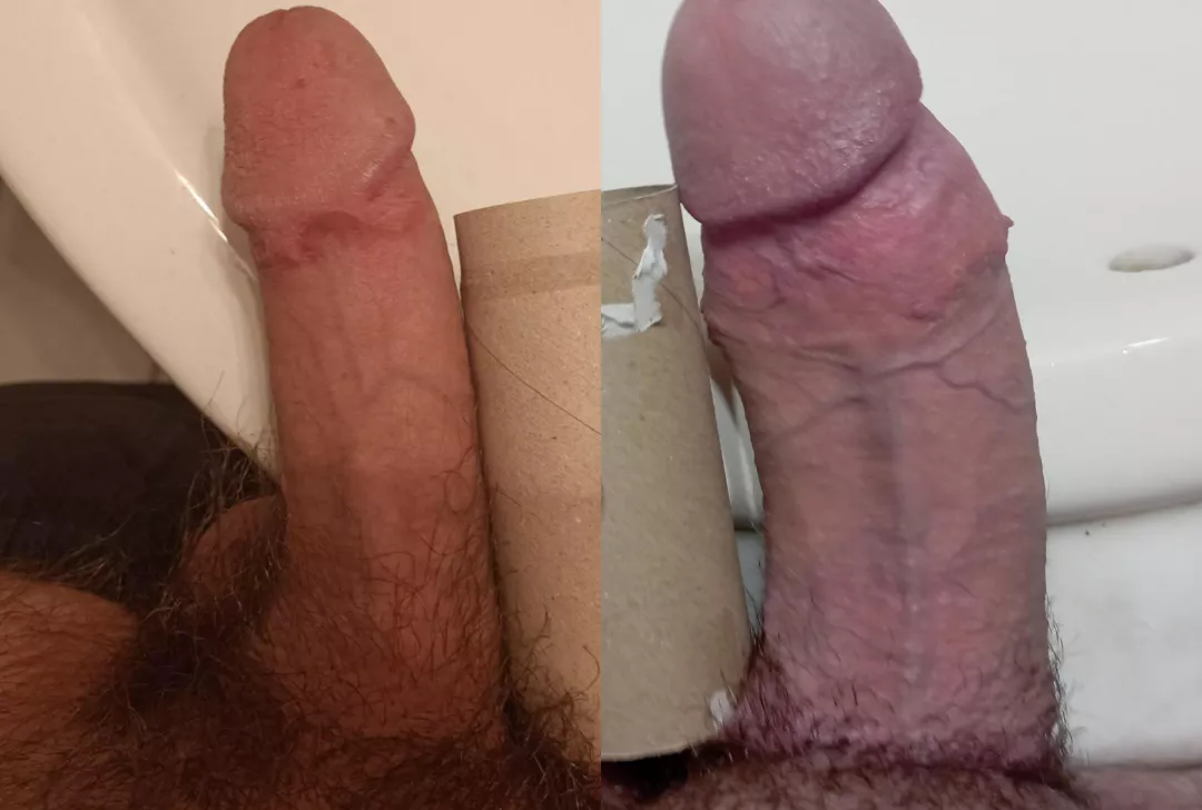 Made a tp roll comparison. What do you think? 😁 posted by InAQuestForD