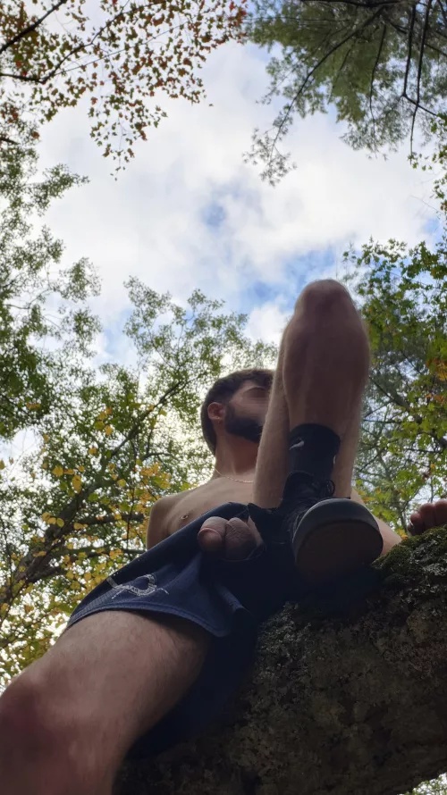 Meet me in the woods? 22 by sunofpan