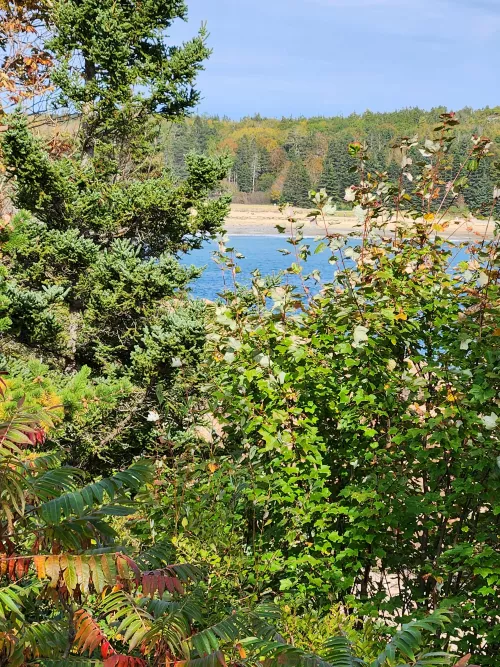 More Sand Beach by Intelligent-Cable-43