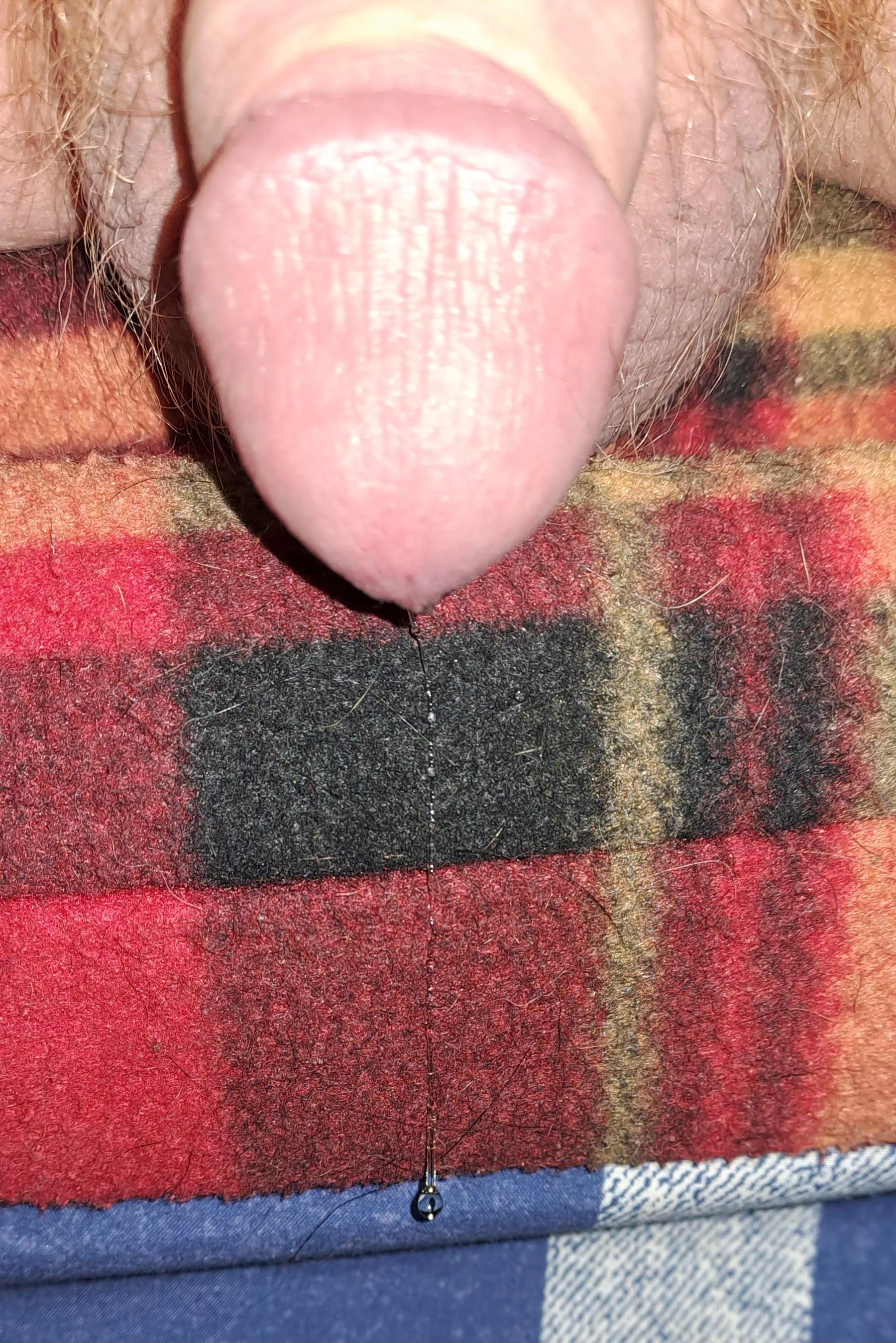 Oops, I dripped. posted by redbeardeddragon1984