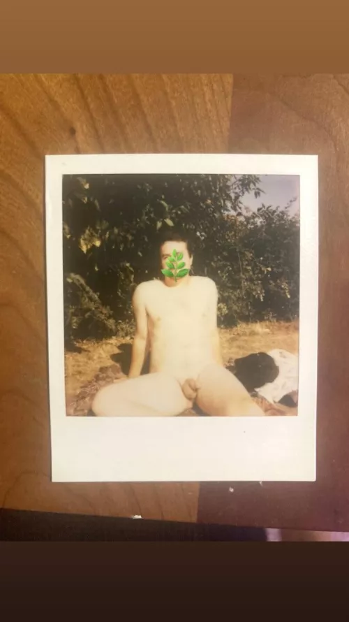 Polaroids in the sun by buddhist__nudist