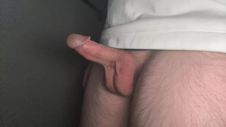 Whatcha think? by Alarming-Law-5615