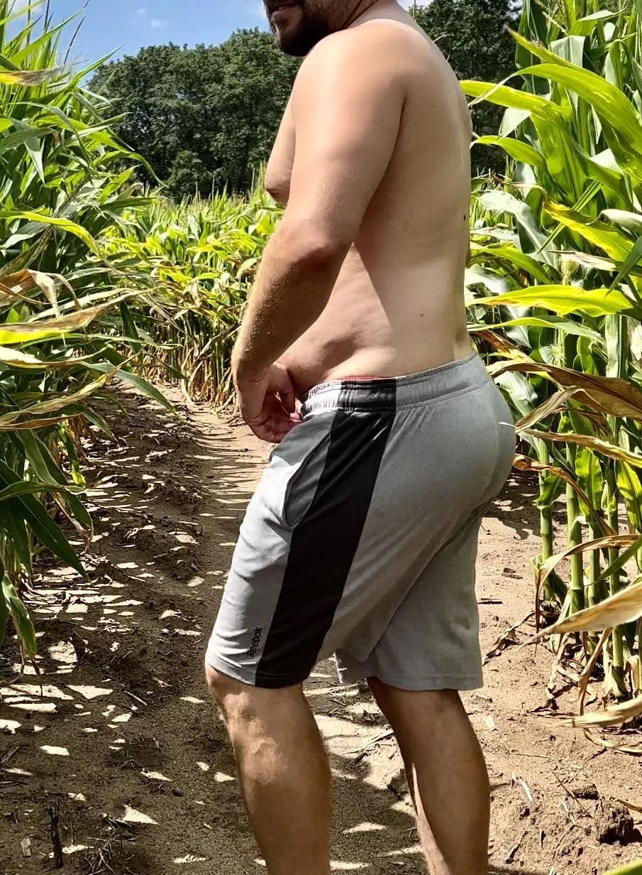 (33) Cub in the corn posted by camohatjock