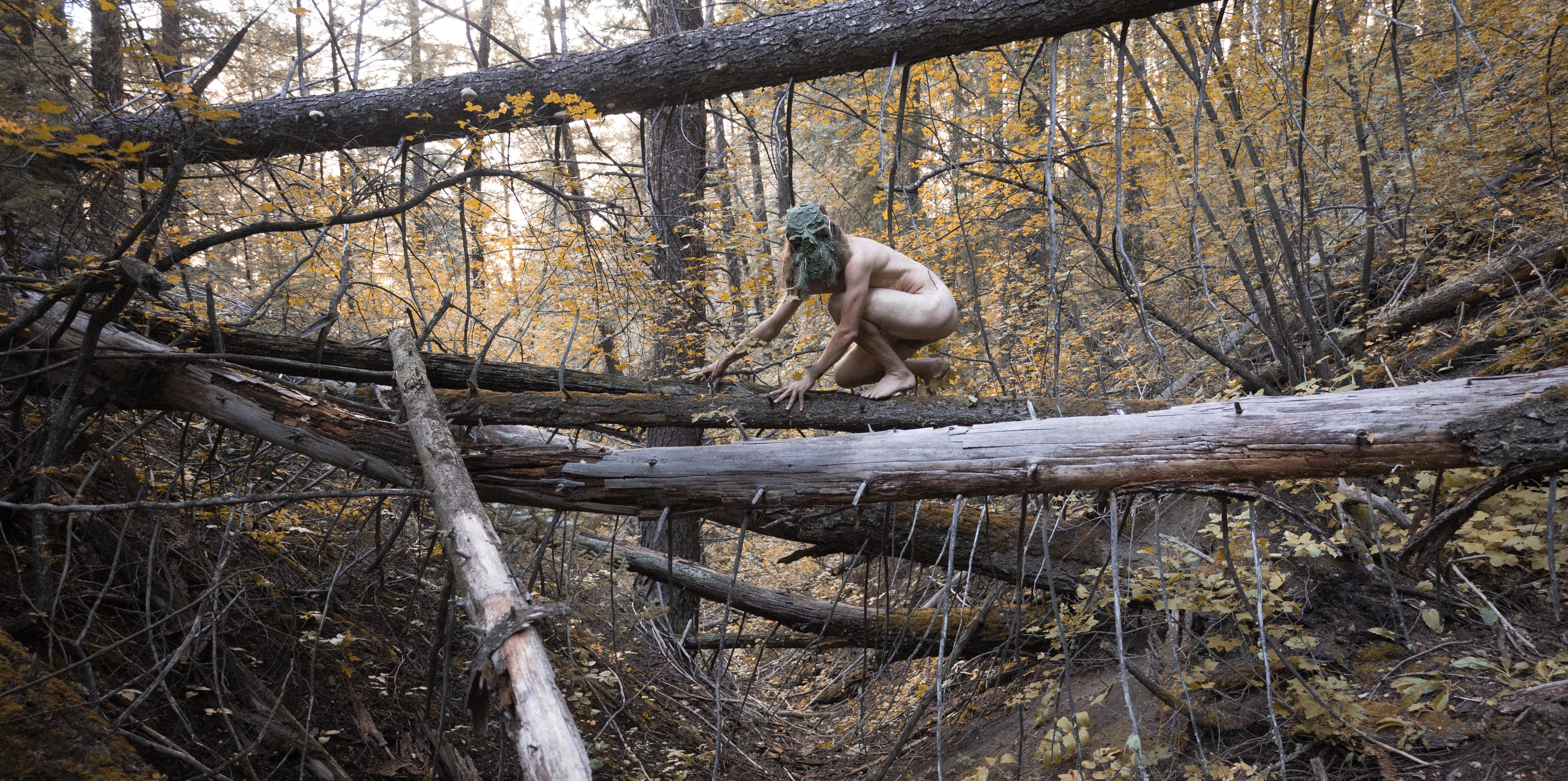 Autumn creatures. posted by Trashtographer1111