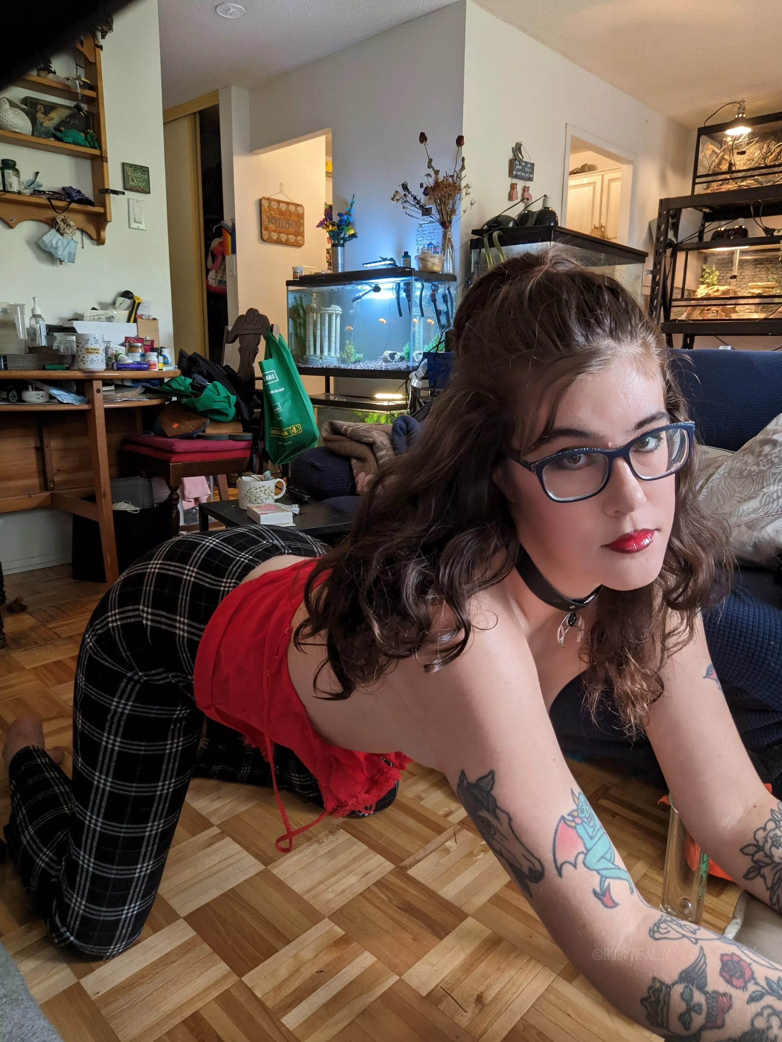 Can I distract you from your game? posted by roguenudez