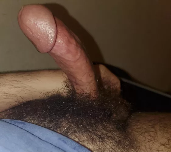Do you prefer hairy or shaved? by Ready2g0_