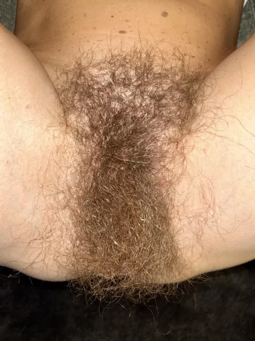 Don’t you wish your girlfriend was hairy like me? by hairybushsara