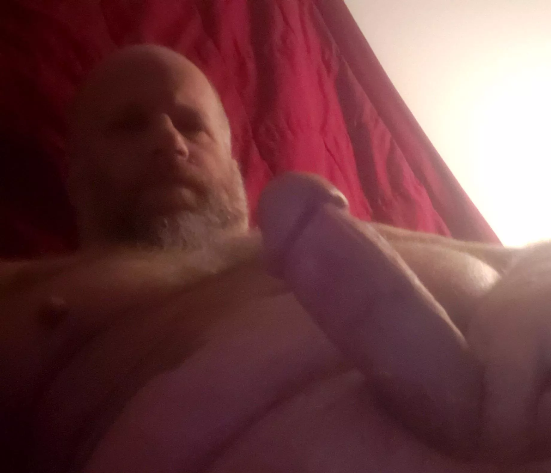 Gearing up for hibernation posted by heavymetalyogi